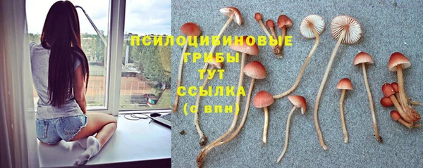 таблы Богданович